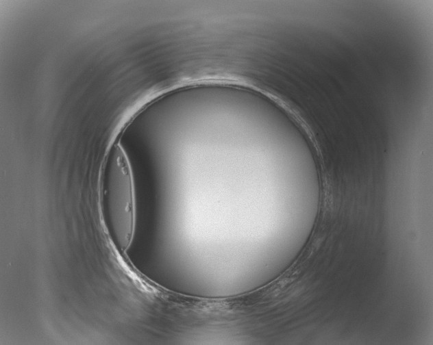 X0000077411006200610201417