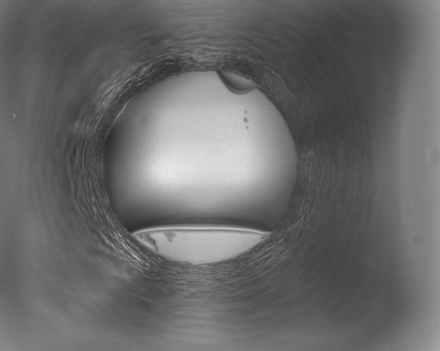 X0000077411009200610201416