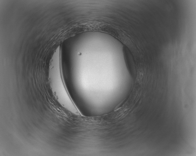 X0000077411010200610201416