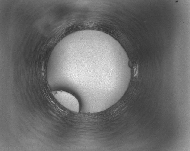 X0000077411011200610201416