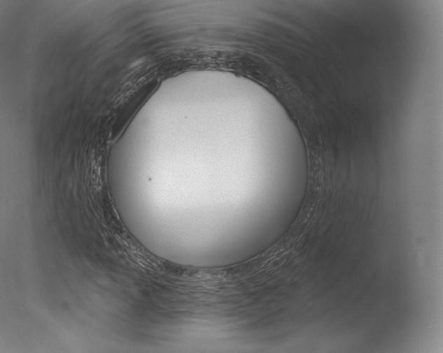 X0000077411013200610201416