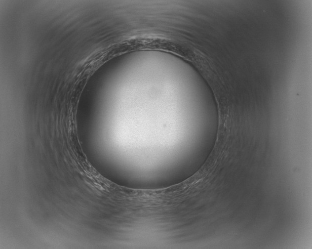 X0000077411014200610201416