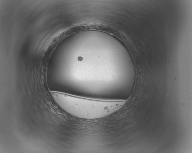 X0000077411016200610201416