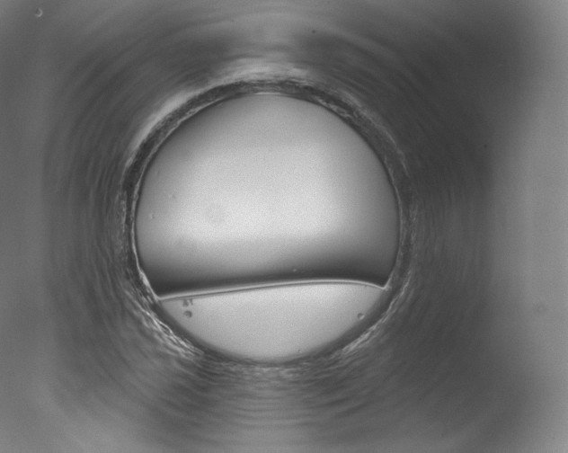 X0000077411021200610201416