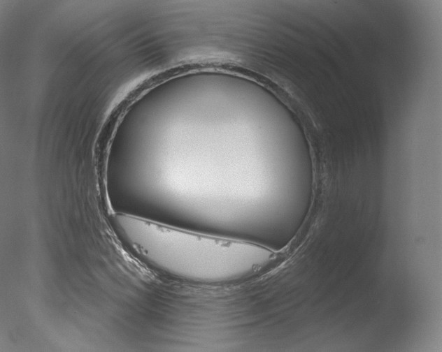 X0000077411022200610201416