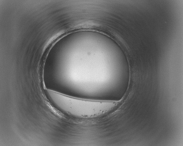 X0000077411026200610201416