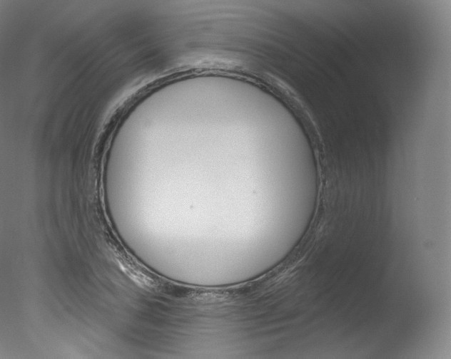 X0000077411027200610201416