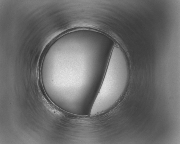 X0000077411028200610201416
