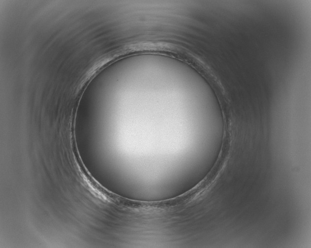 X0000077411033200610201416