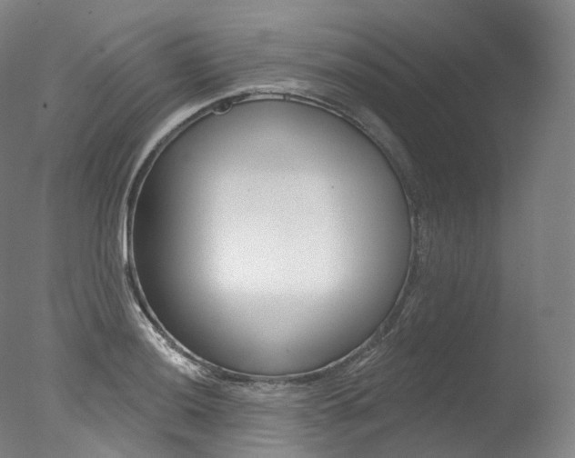X0000077411036200610201416