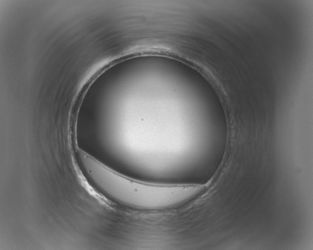 X0000077411038200610201417