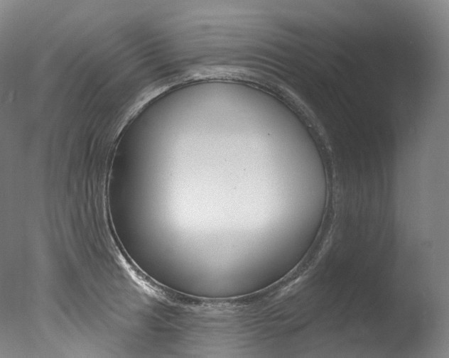 X0000077411041200610201417