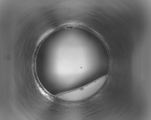 X0000077411042200610201417