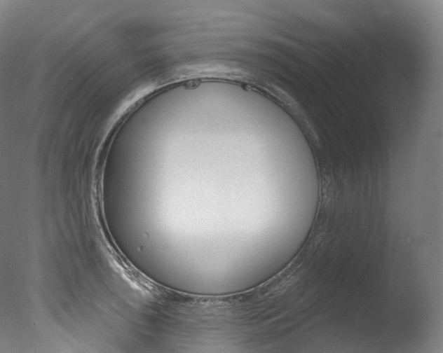 X0000077411043200610201417