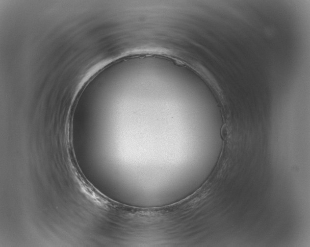 X0000077411044200610201417