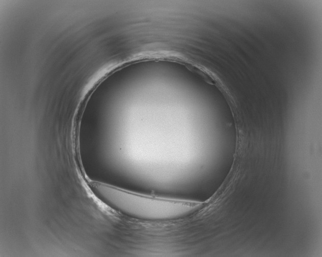 X0000077411046200610201417
