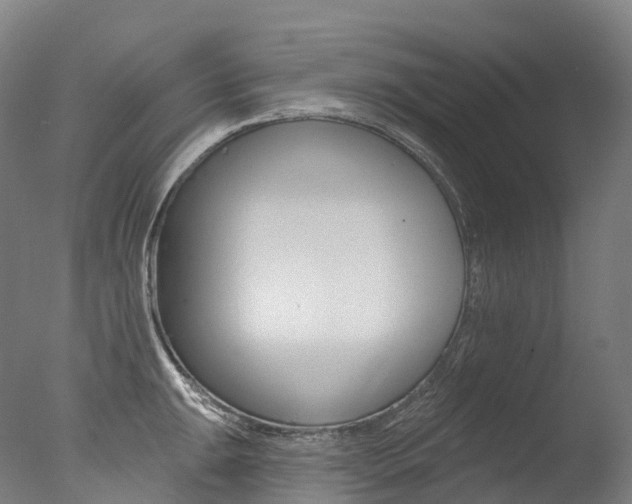 X0000077411047200610201417