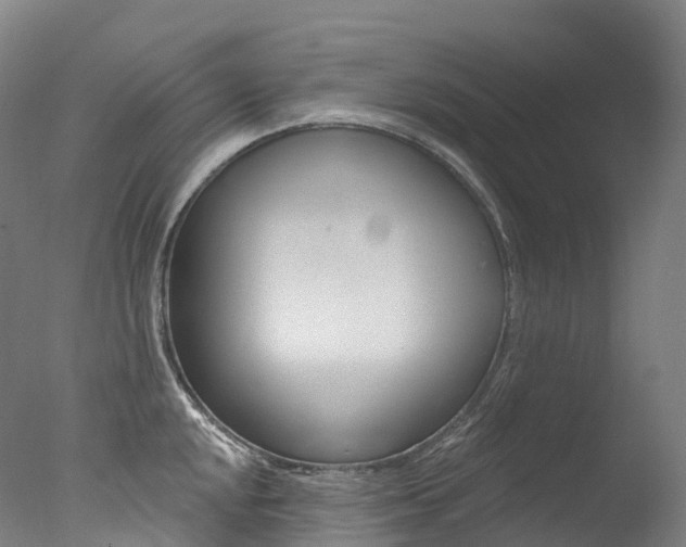X0000077411048200610201417