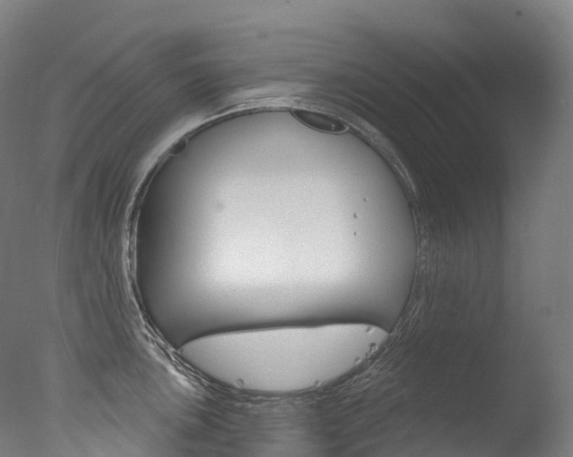 X0000077411051200610201417