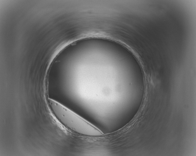X0000077411056200610201417