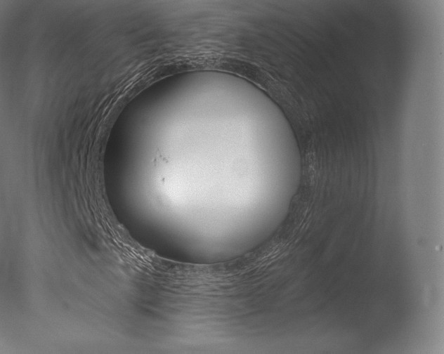 X0000077411057200610201416