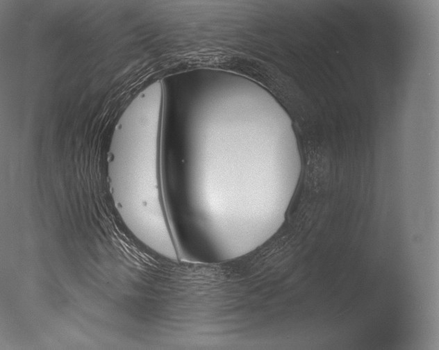 X0000077411058200610201416