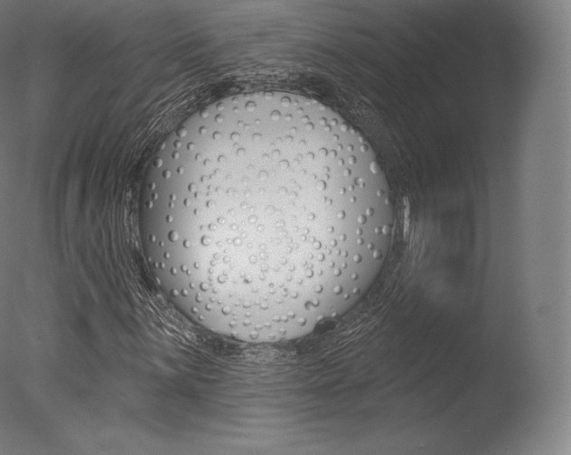 X0000077411059200610201416