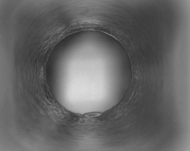 X0000077411061200610201416