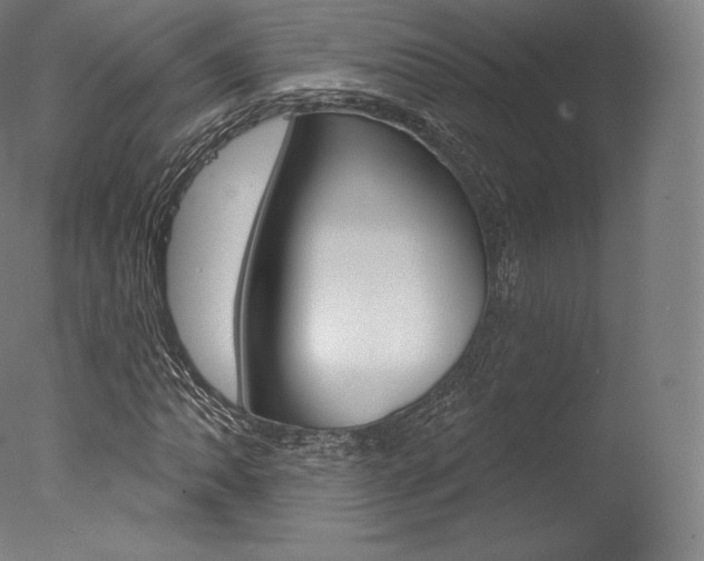 X0000077411062200610201416