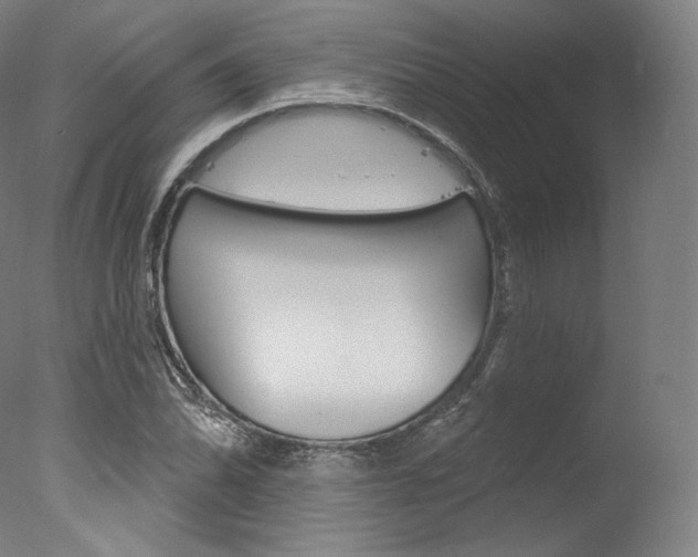 X0000077411070200610201416