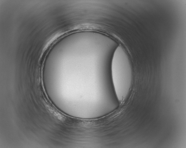 X0000077411075200610201416