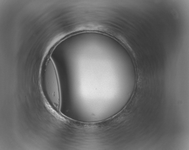 X0000077411080200610201416