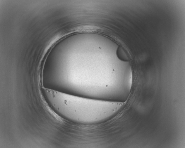 X0000077411083200610201416