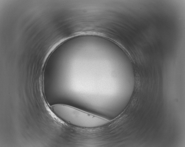 X0000077411100200610201415