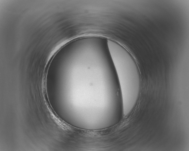 X0000077411101200610201415