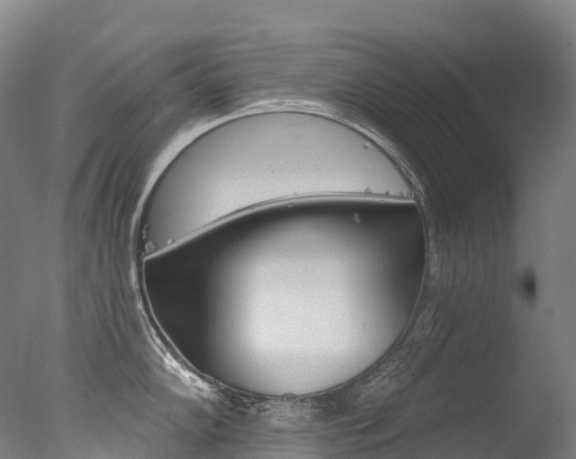 X0000077411102200610201415