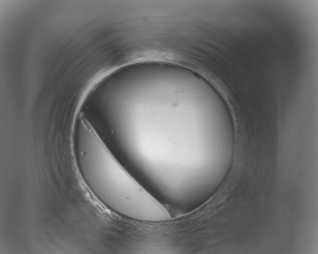 X0000077411104200610201415