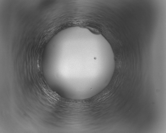 X0000077411106200610201414