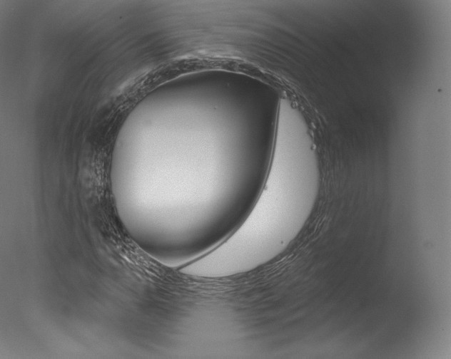 X0000077411110200610201414