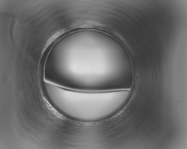 X0000077411122200610201415