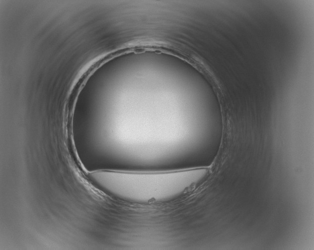 X0000077411124200610201415