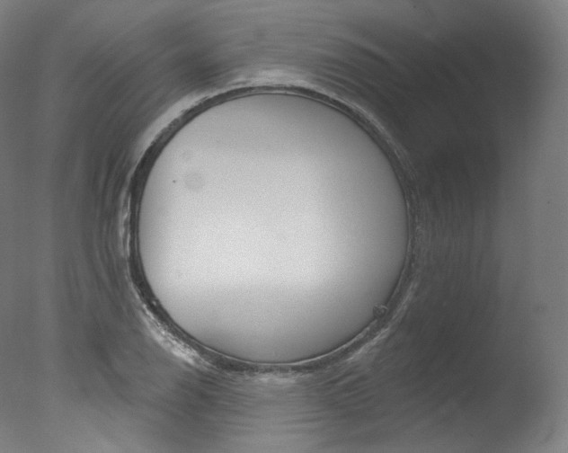 X0000077411126200610201415