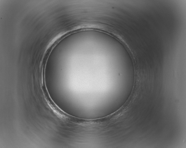 X0000077411127200610201415