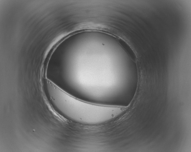 X0000077411128200610201415