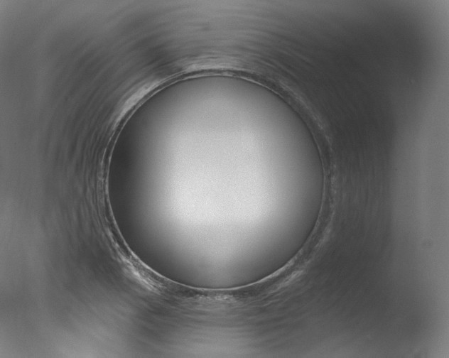 X0000077411129200610201415