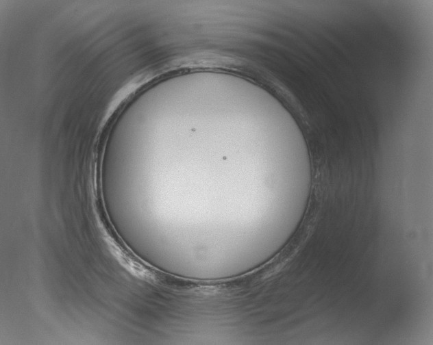 X0000077411130200610201415