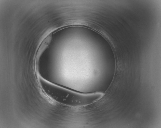 X0000077411132200610201415