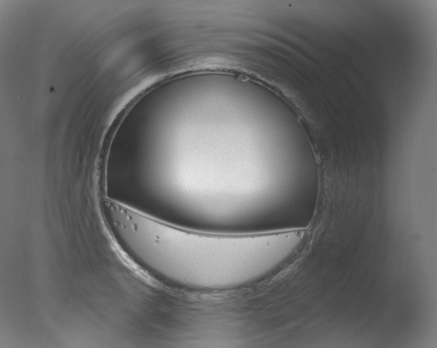 X0000077411134200610201415