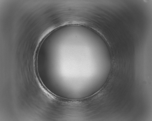 X0000077411135200610201415