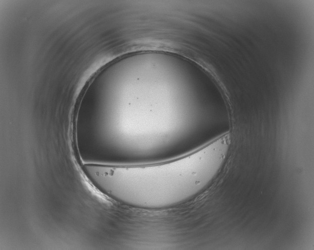 X0000077411136200610201415